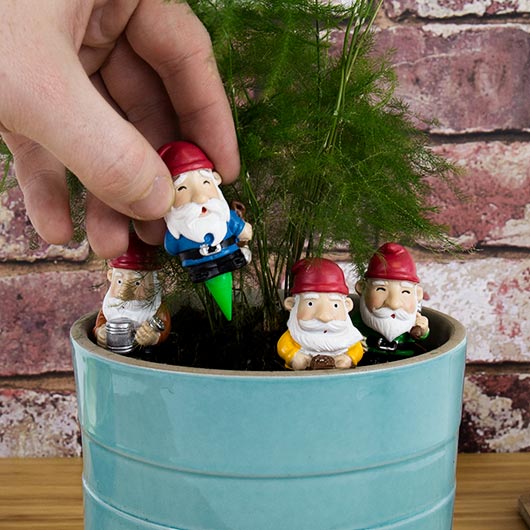 http://shop.getbullish.com/cdn/shop/articles/mini-plant-pot-garden-gnomes-tiny-funny-garden-gnomes-on-pointy-sticks-to-decorate-your-potted-plants-1675747543618.jpg?v=1679363499