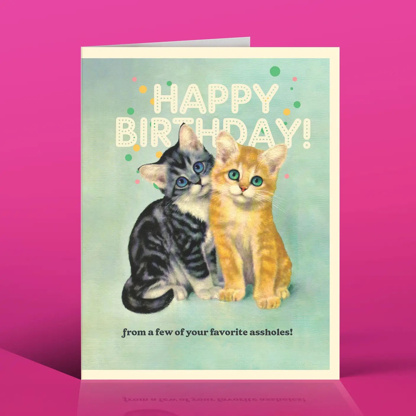 A**hole Cats Happy Birthday Card | Cute Kittens Greeting Card