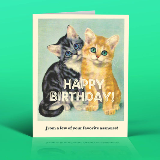 A**hole Cats Happy Birthday Card | Cute Kittens Greeting Card