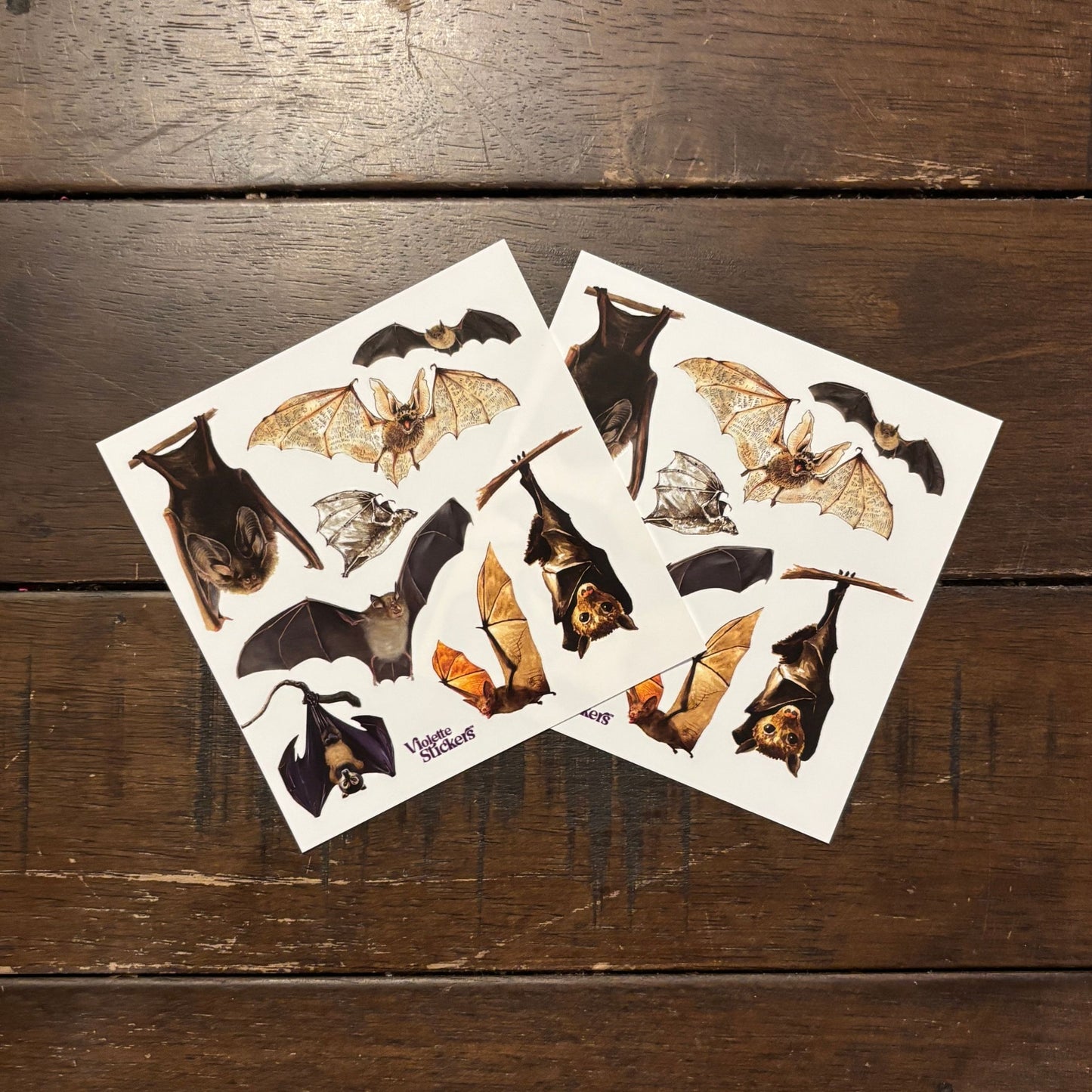 Bats Stickers | 4" x 4" Paper Stickers | 2 Sheets