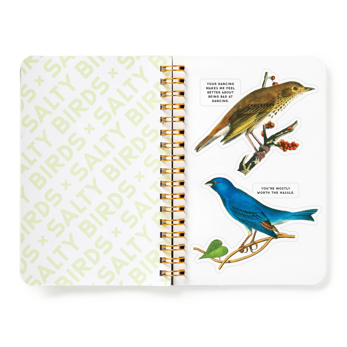 Brass Monkey Salty Birds Sticker Book | Vintage Illustrations Decals