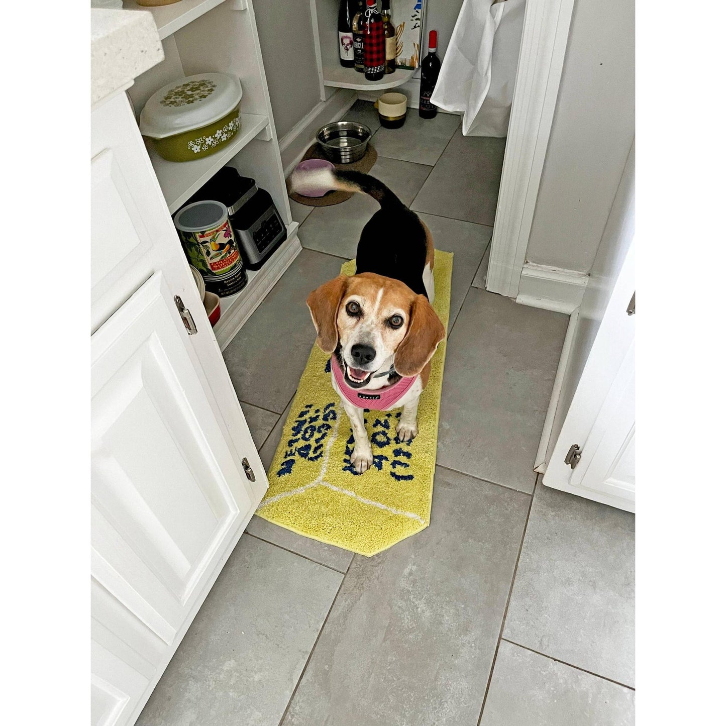 Butter Ultrasoft Rug in Yellow | Slip Resistant Door Mat 38" x 14"