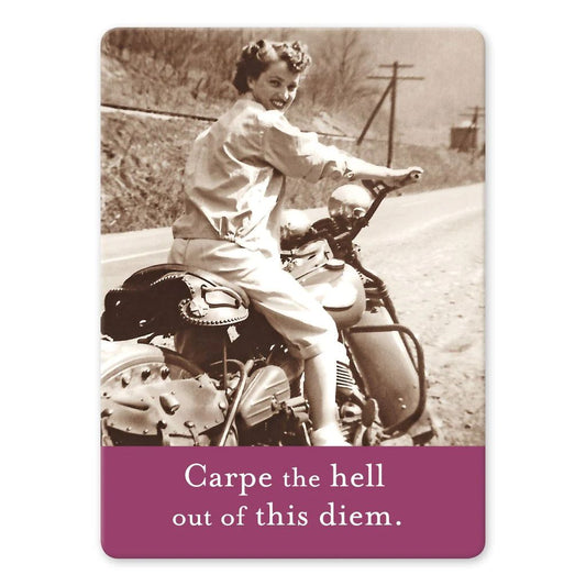 Carpe the Hell Out of This Diem Rectangle Magnet in Purple | Retro Fridge and Office Magnet