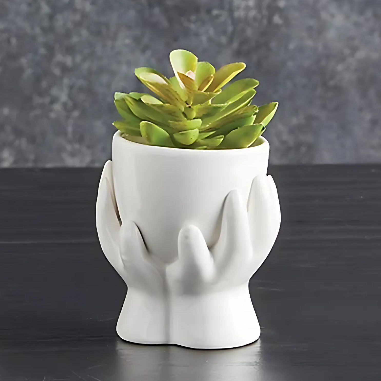 mini ceramic succulent pots Hand Planter