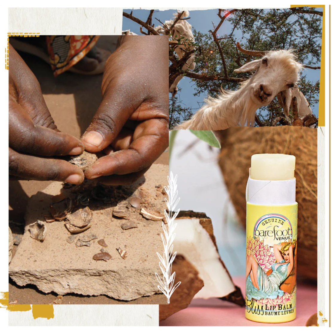 Coconut Kiss Lip Balm – Mango & Shea Butter | Natural Coconut | 8g