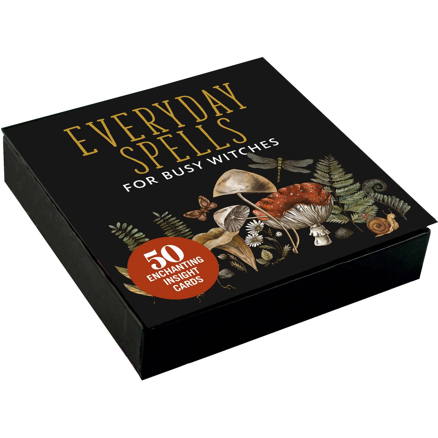 Everyday Spells for Busy Witches Insight Cards | 50 Educators Philosophers Quotes