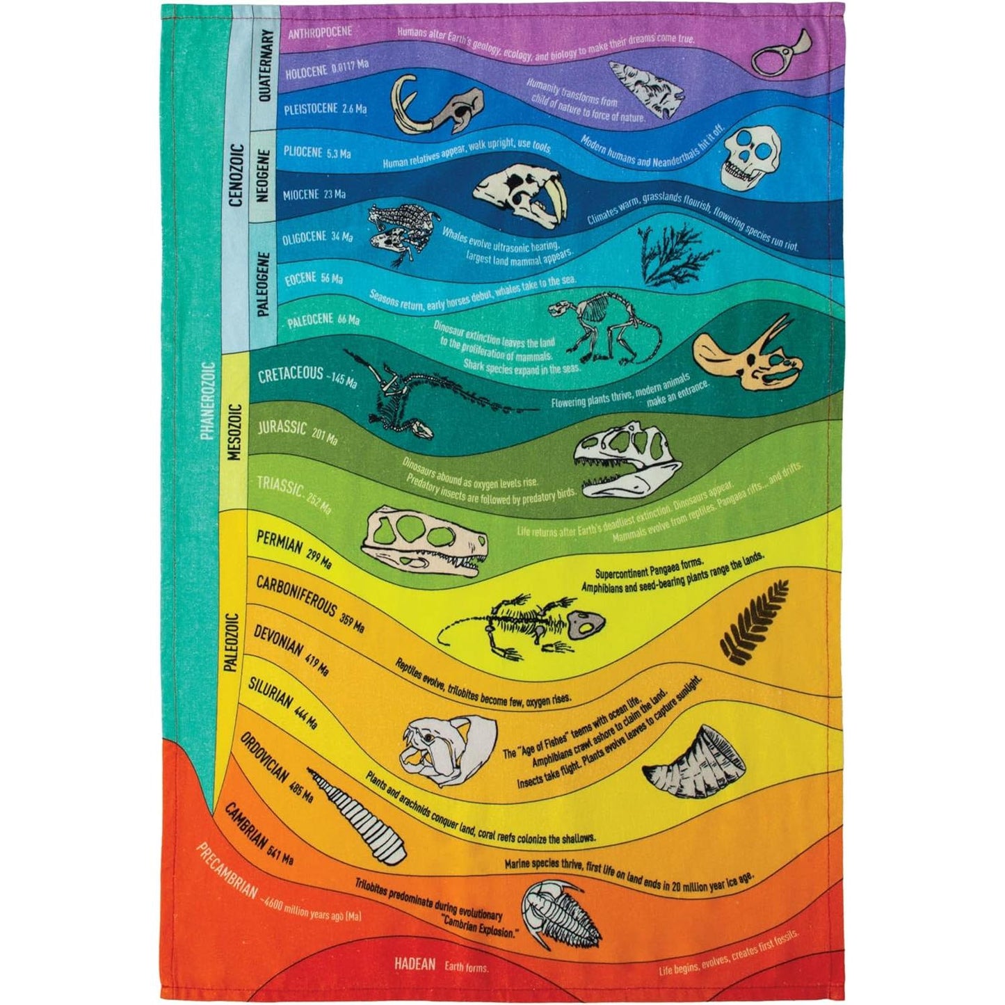Geologic Time Towel | Kitchen Dish Tea Hand Towel | 17.25" x 25.5"