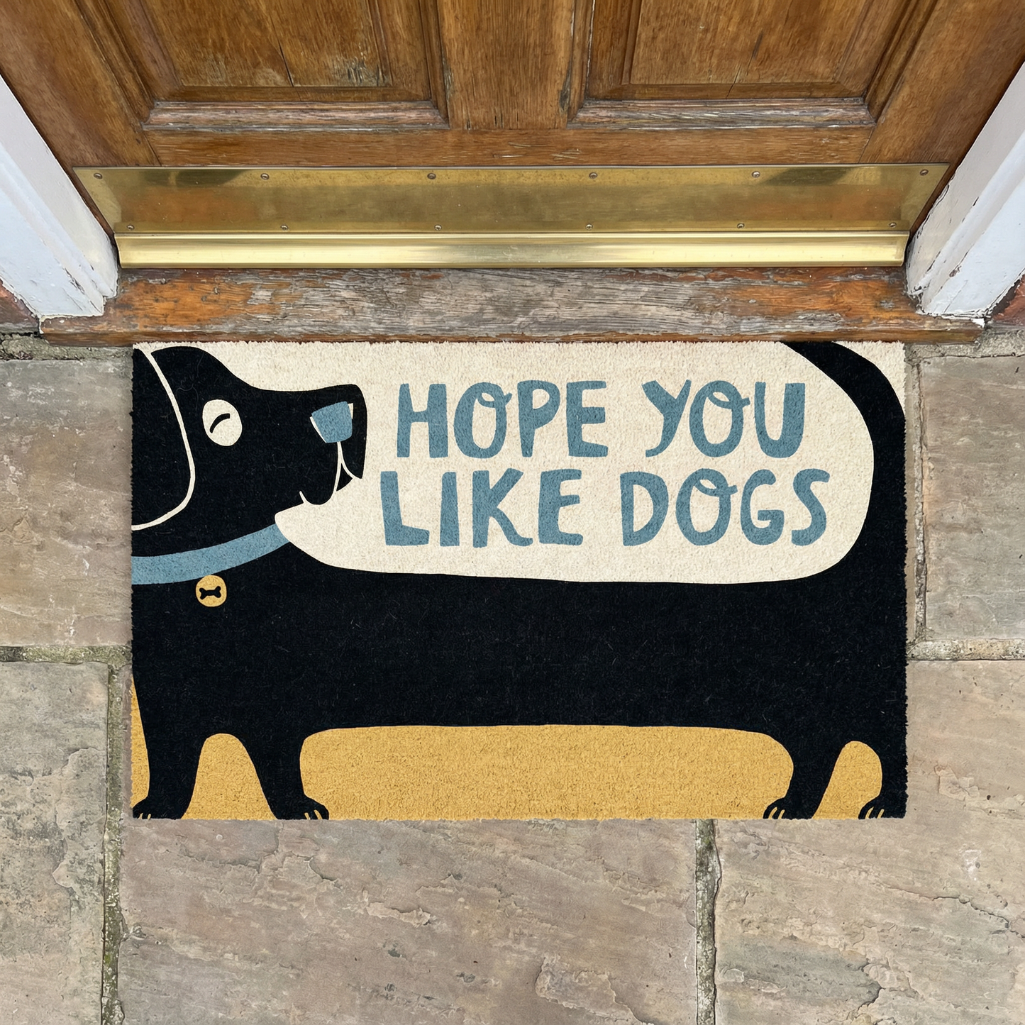 Hope You Like Dogs Entryway Indoor/Outdoor Rug | 34" x 20" | Slip-Resistant Backing
