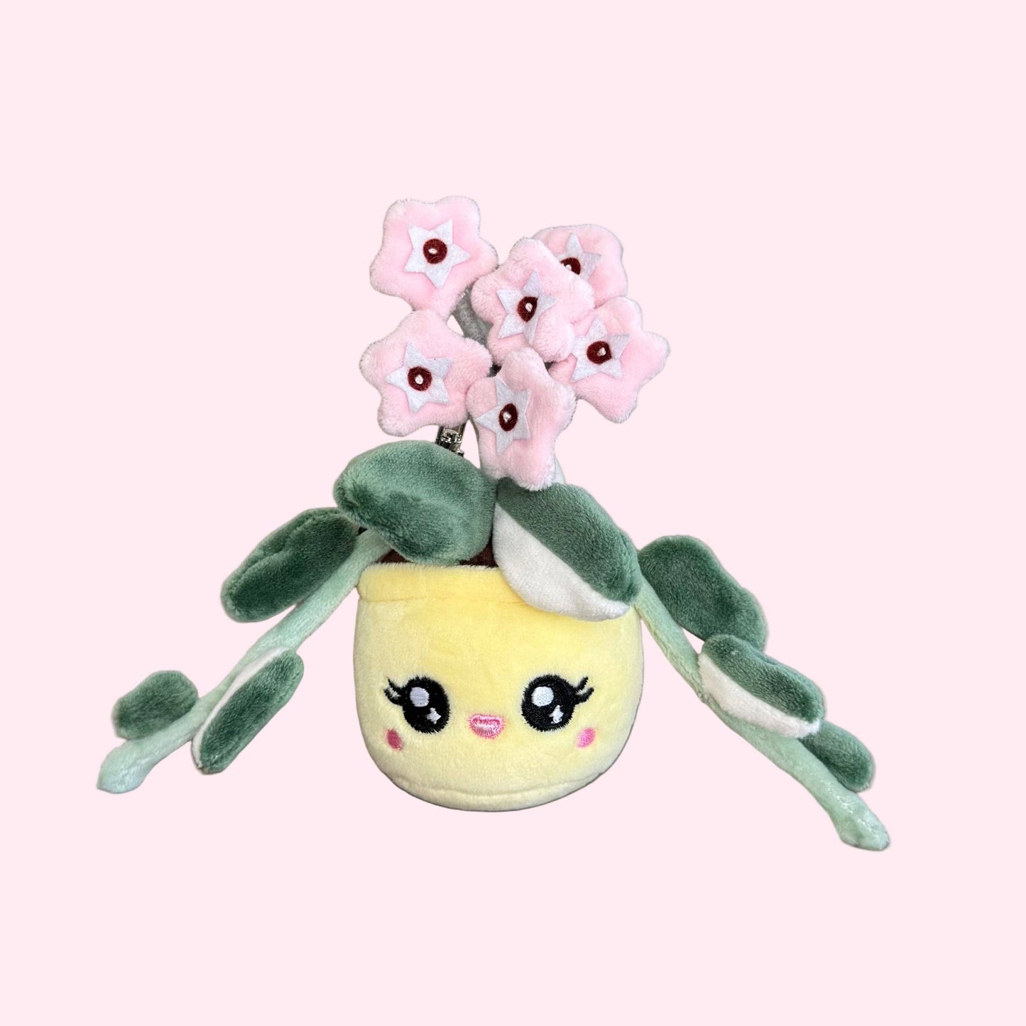Hoya Carnosa 'Krimson Queen' Plush Keychain | 5" Variegated Houseplant Bag Charm