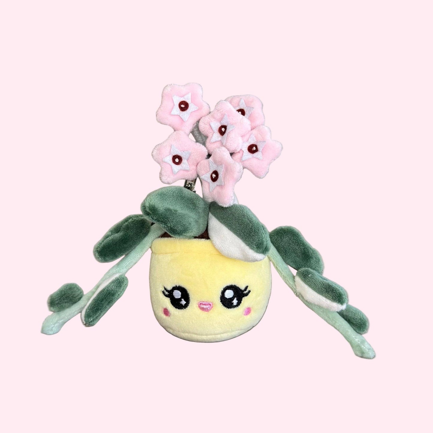 Hoya Carnosa 'Krimson Queen' Plush Keychain | 5" Variegated Houseplant Bag Charm-Blushiez-The Bullish Store