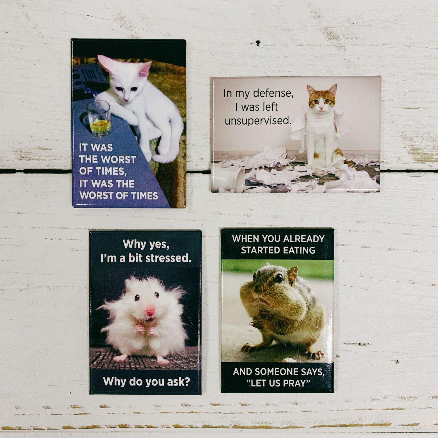It Was The Worst Of Times, It Was Funny White Cat Magnet | Rectangular Magnetic Surface Fridge Decor | 3" x 2"