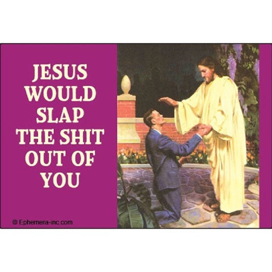 Jesus Would Slap The Shit Out Of You. Fridge Magnet