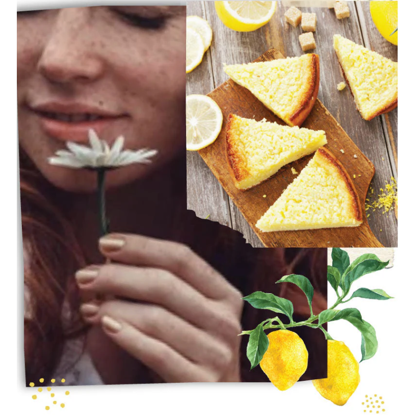 Lemon Freckle Mini Hand Repair Balm – Vanilla Lemon | Mango & Shea Butter | 20ml
