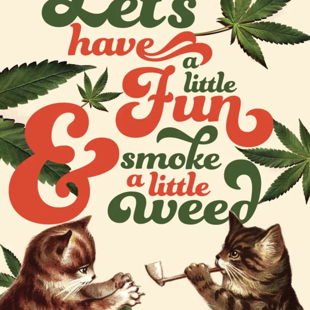 Let's Have A Little Fun Cats Weed Greeting Card | Funny Message Card