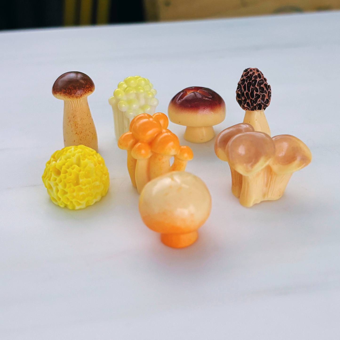 Mini Japanese Mushroom Garden Desk Set | 8 Tiny Mushroom Models