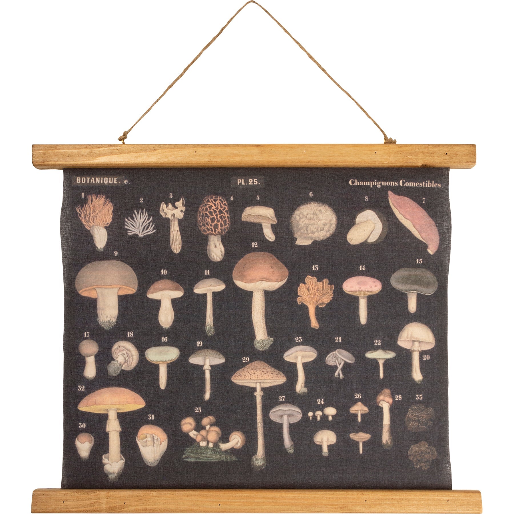 Mushrooms Vintage Botanical Wall Hanging Decor