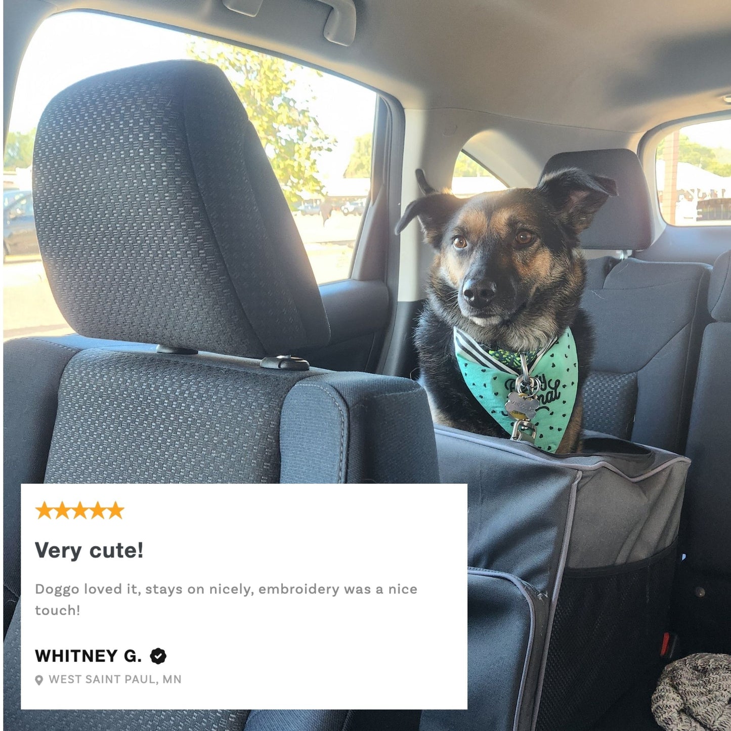 Party Animal Pet Bandana | In Blue With Printed Hearts Designs