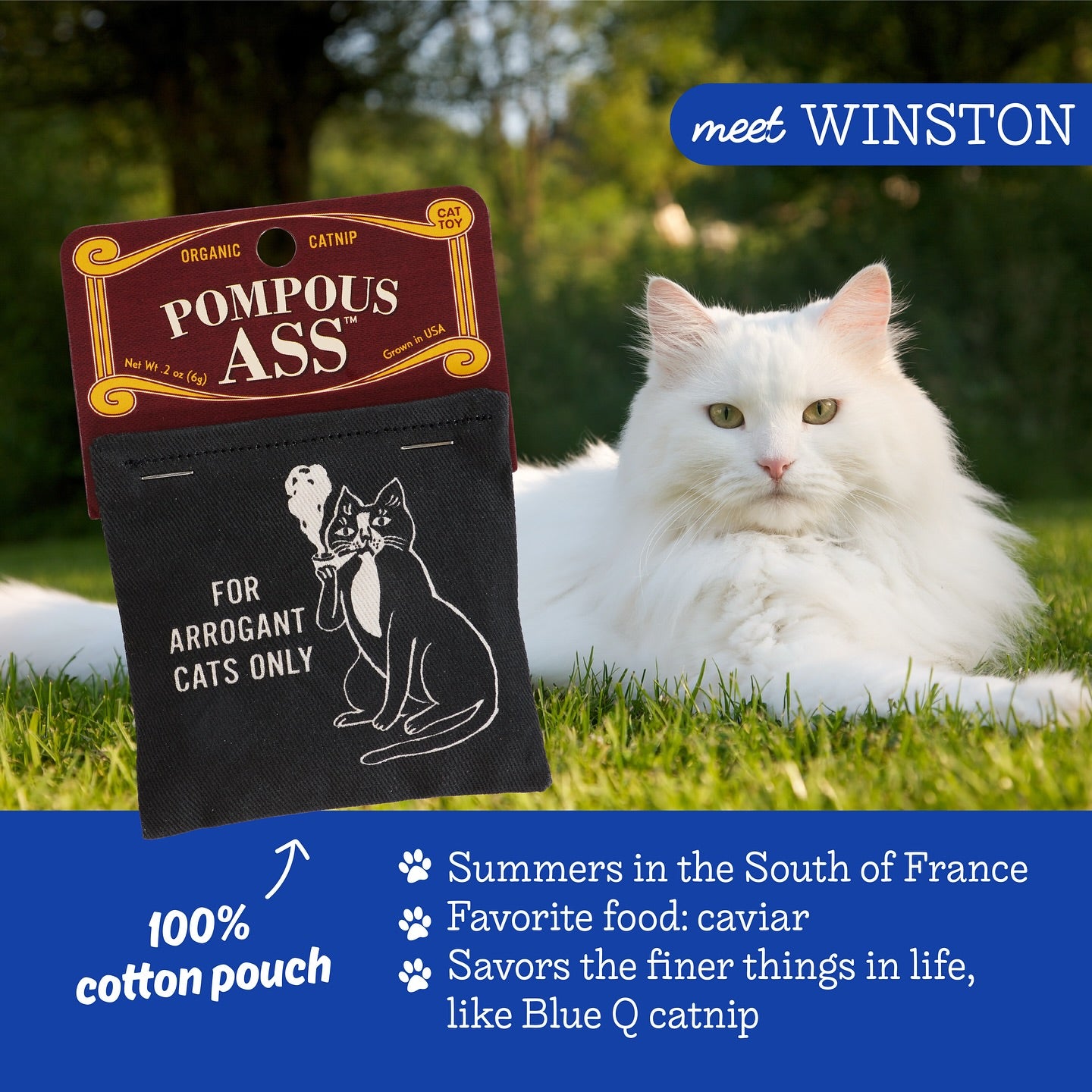 Pompous Ass Catnip Toy | Premium Organic Catnip in Illustrated Cotton Pouch | BlueQ at GetBullish