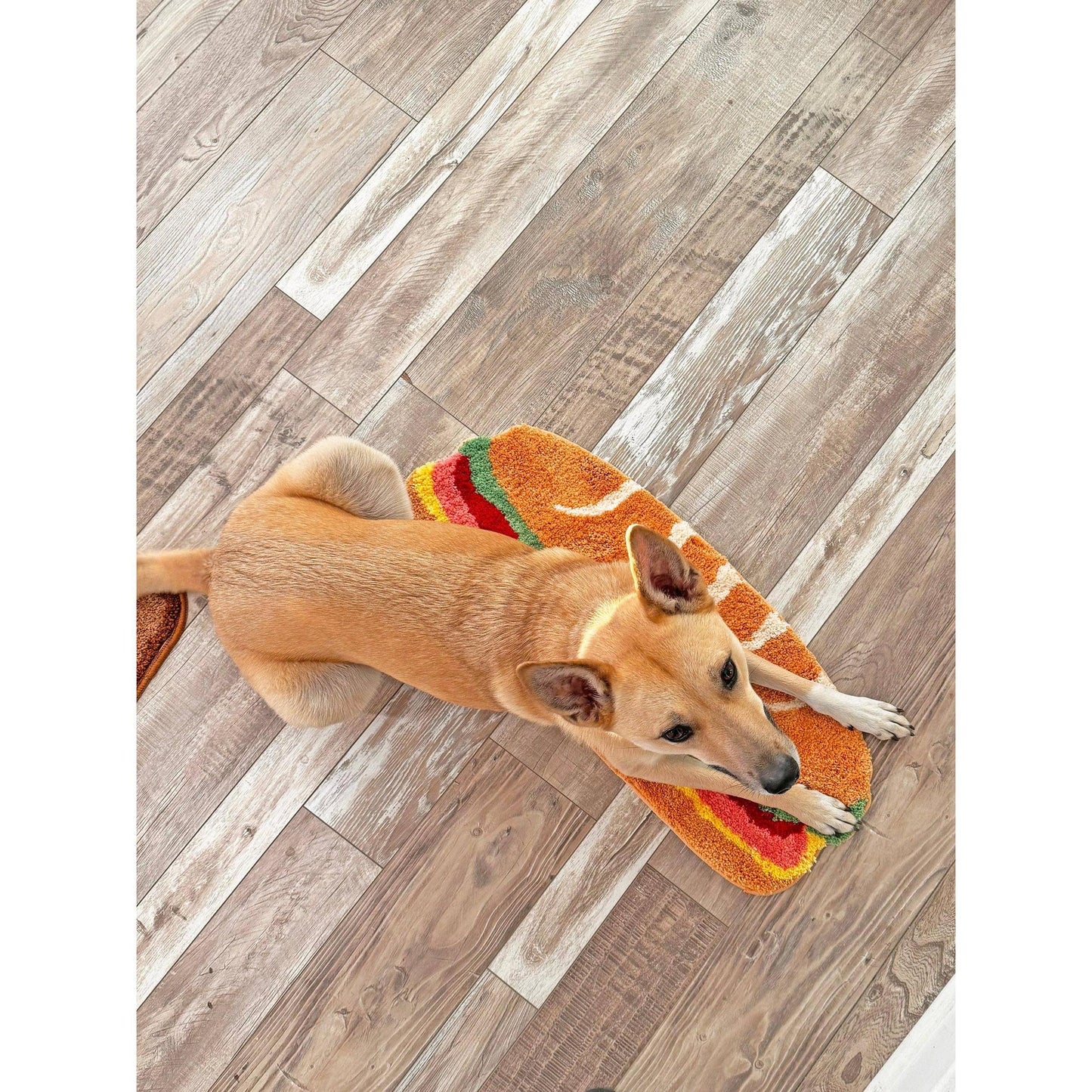 Sandwich Ultrasoft Rug | Slip-Resistant Food Mat for Kitchen Dorm or Wall | 30" x 12.5"