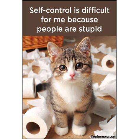 Self-Control Is Difficult for Me Because People Are Stupid Funny Cat Magnet