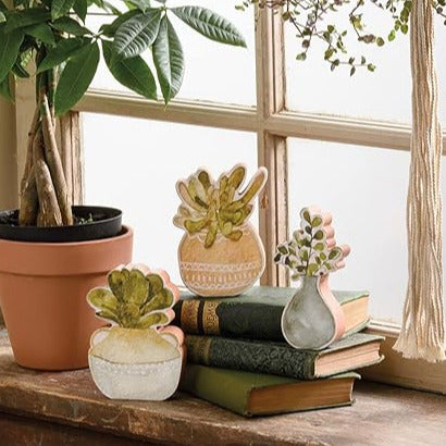 set of 3 succulents Primitives by Kathy Chunky Sitter Succulents Set
