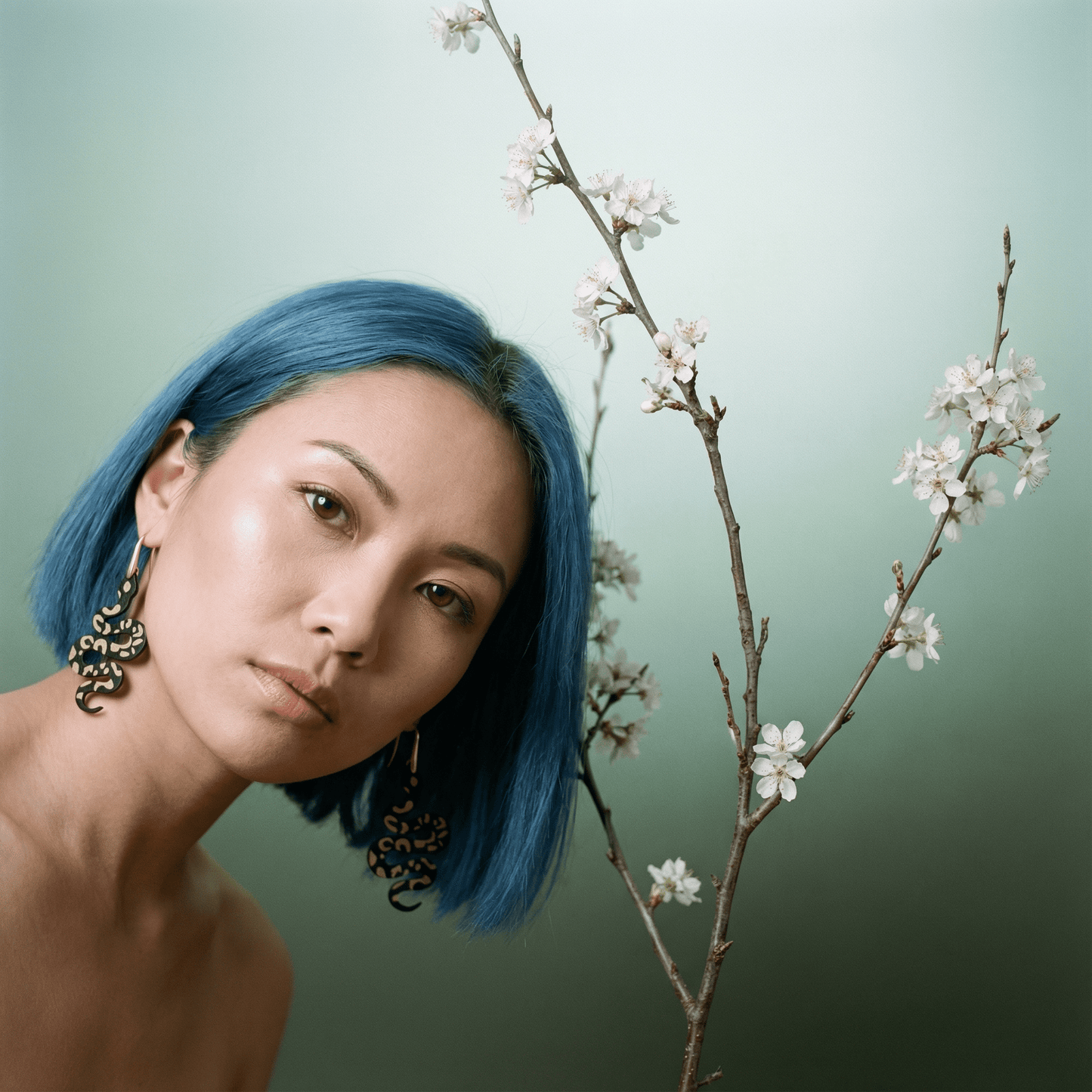 Snake Hook Dangle Statement Earrings | Brown and Jet Black Serpent Earrings