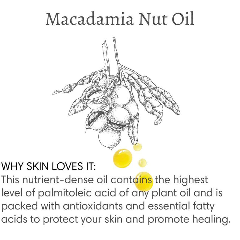 The Vanilla Effect | Body Cream | Handmade + Cruelty-Free | Macadamia, Almond Oil | 8oz