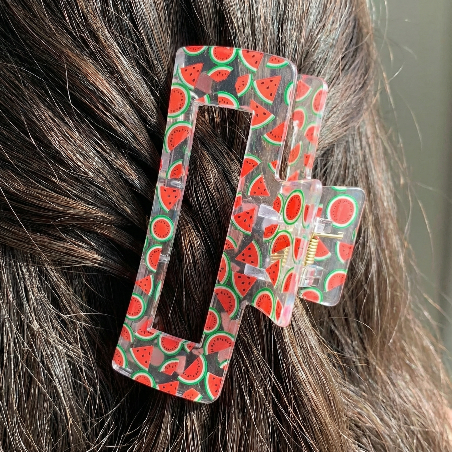 Velvet Claws The Crystal Hair Claw in Watermelon