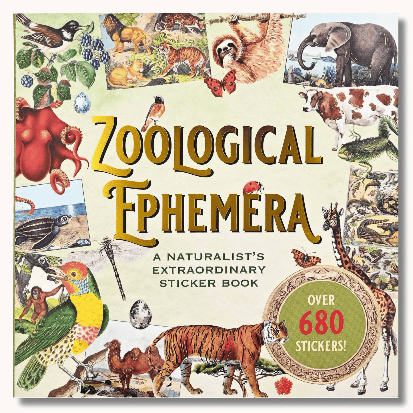 Zoological Ephemera Sticker Books | 50 Pages Animal Lovers Decals Collection | 6.5''