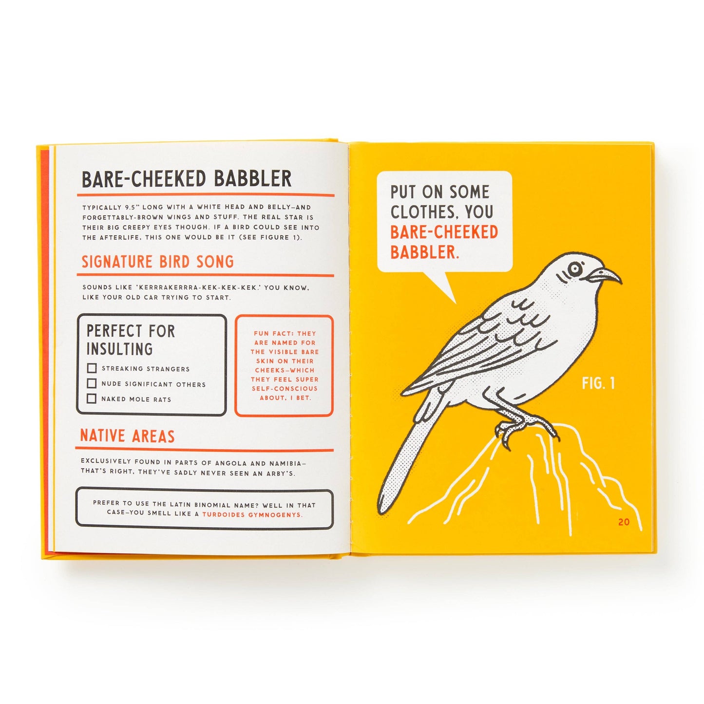 Brass Monkey Illustrated Guide To Birds That Sound Like Insults