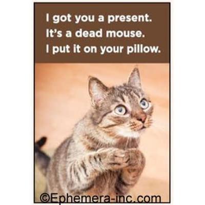 I Got You A Present - It's A Dead Mouse - I Put It On Your Pillow Magnet | 2" x 3"