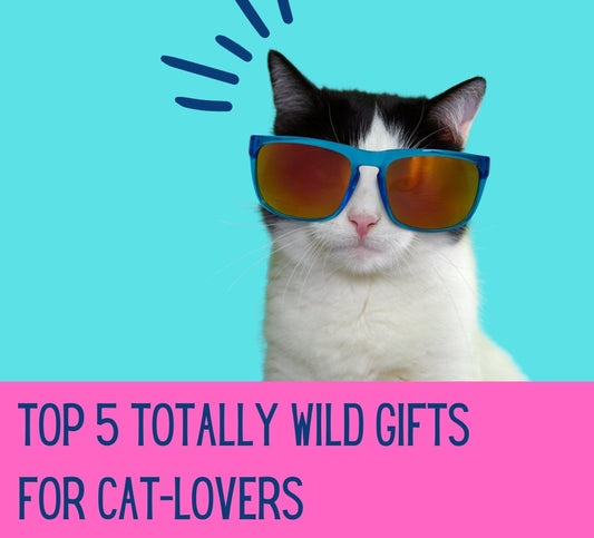 Top 5 Purrrrfect Gifts For Cat-Lovers (OMG, there's CAT WINE)