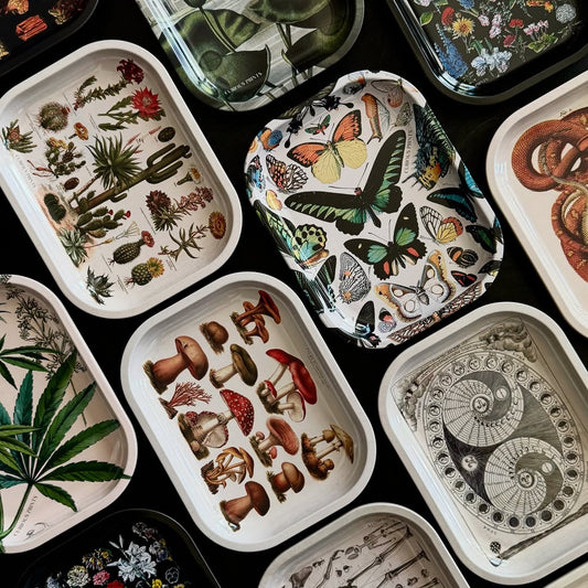 Catch-All Trinket Trays: Stylish Organization for Keys, Jewelry & Daily Treasures