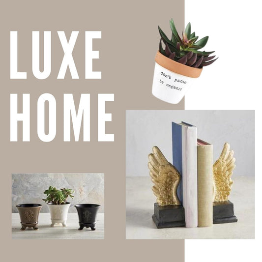 Luxe Home Shopping Guide: Planters, Cast Iron, Quirky Decor
