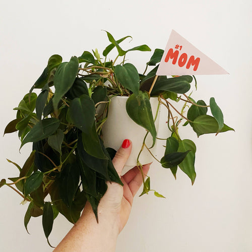 #1 MOM Pennant Flag | Handmade Plant or Cake Topper