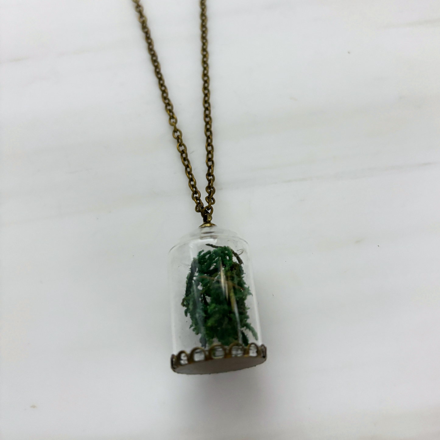 Moss Terrarium Necklace | Real Dried Moss in Glass Cloche Pendant | 24" Aged Brass Chain