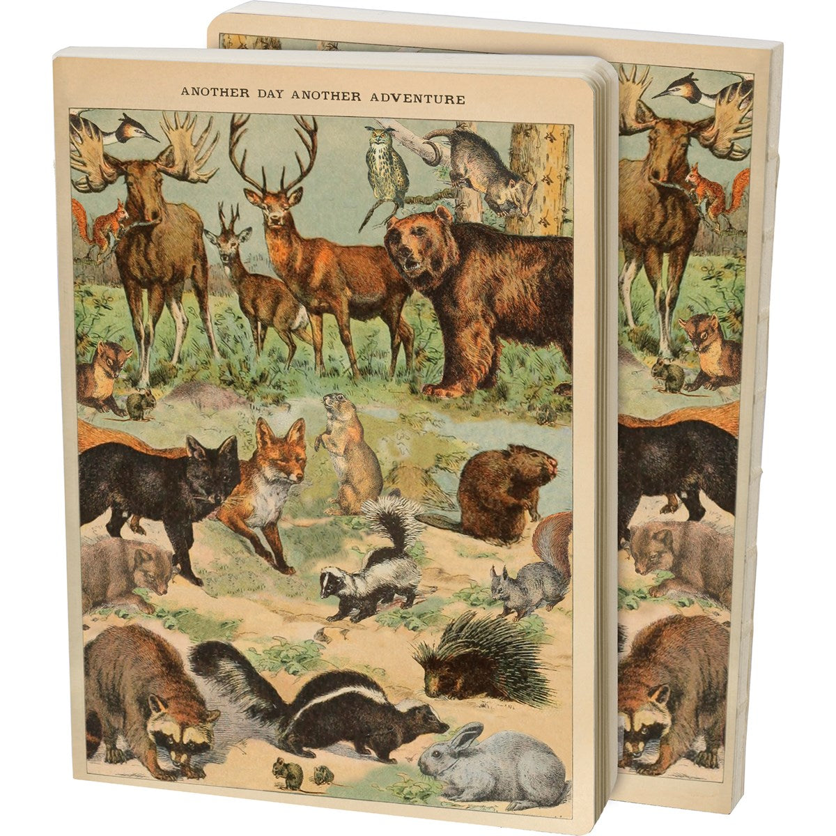 Another Day Another Adventure Double-Sided Journal | Wild Animals Notebook