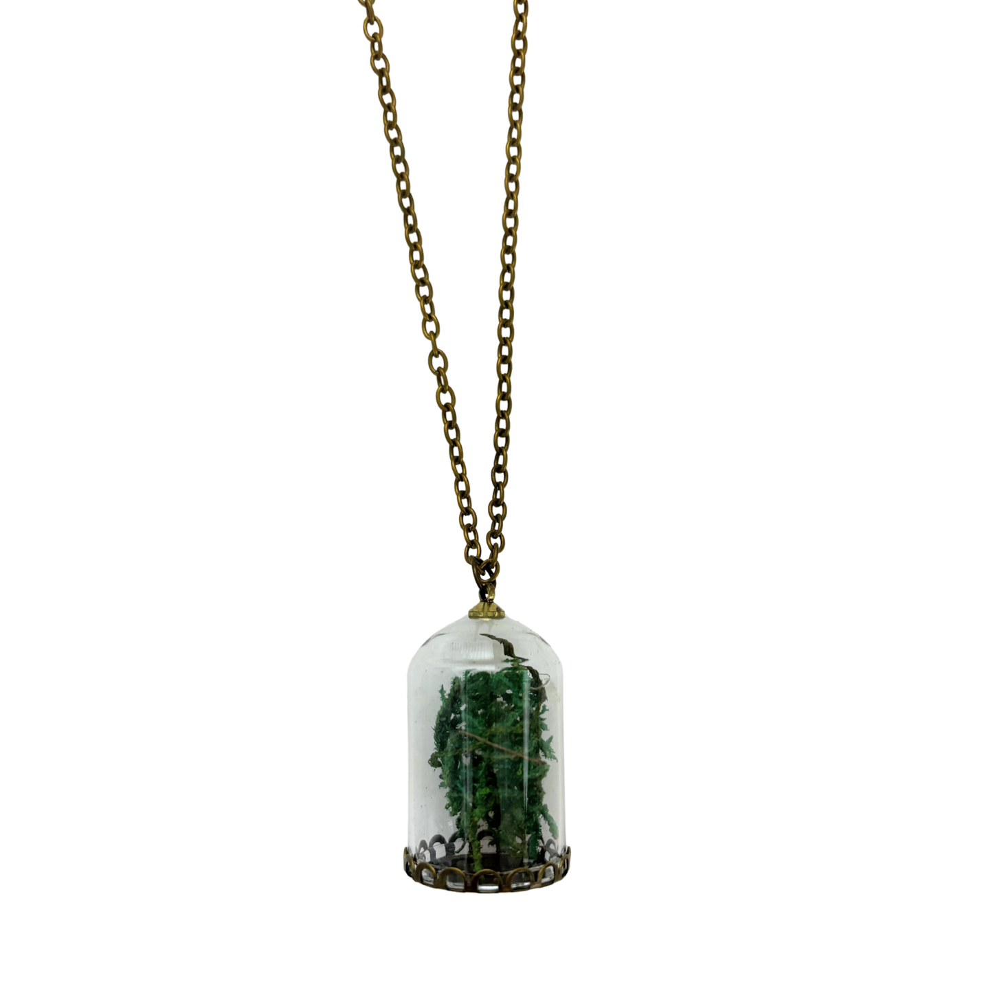 Moss Terrarium Necklace | Real Dried Moss in Glass Cloche Pendant | 24" Aged Brass Chain