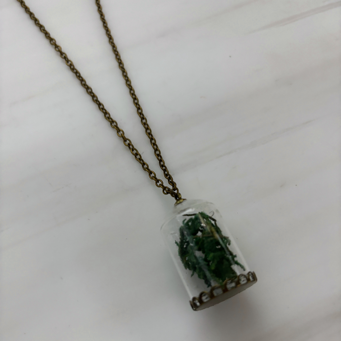 Moss Terrarium Necklace | Real Dried Moss in Glass Cloche Pendant | 24" Aged Brass Chain