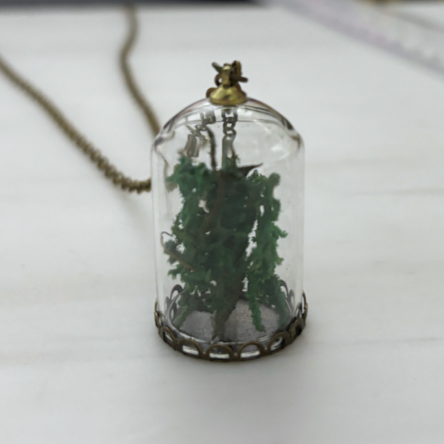 Moss Terrarium Necklace | Real Dried Moss in Glass Cloche Pendant | 24" Aged Brass Chain
