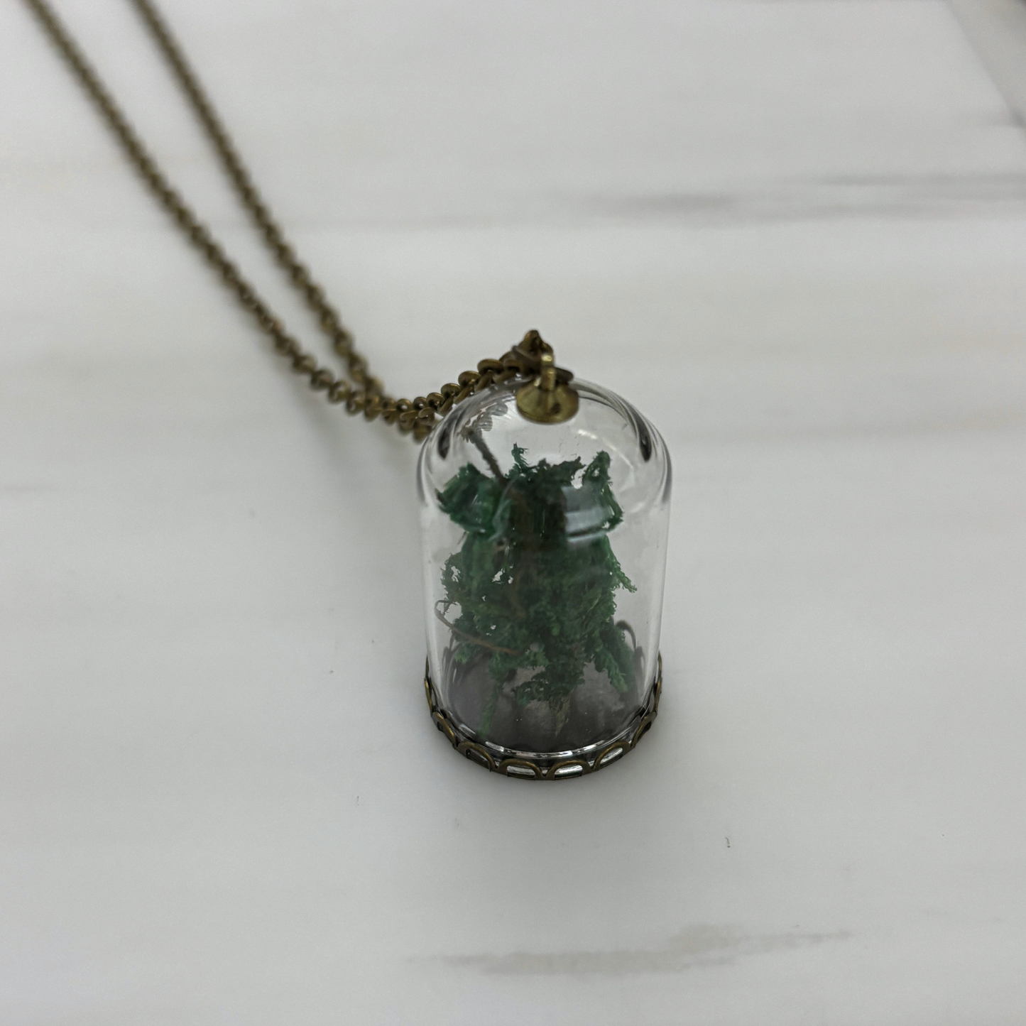 Moss Terrarium Necklace | Real Dried Moss in Glass Cloche Pendant | 24" Aged Brass Chain