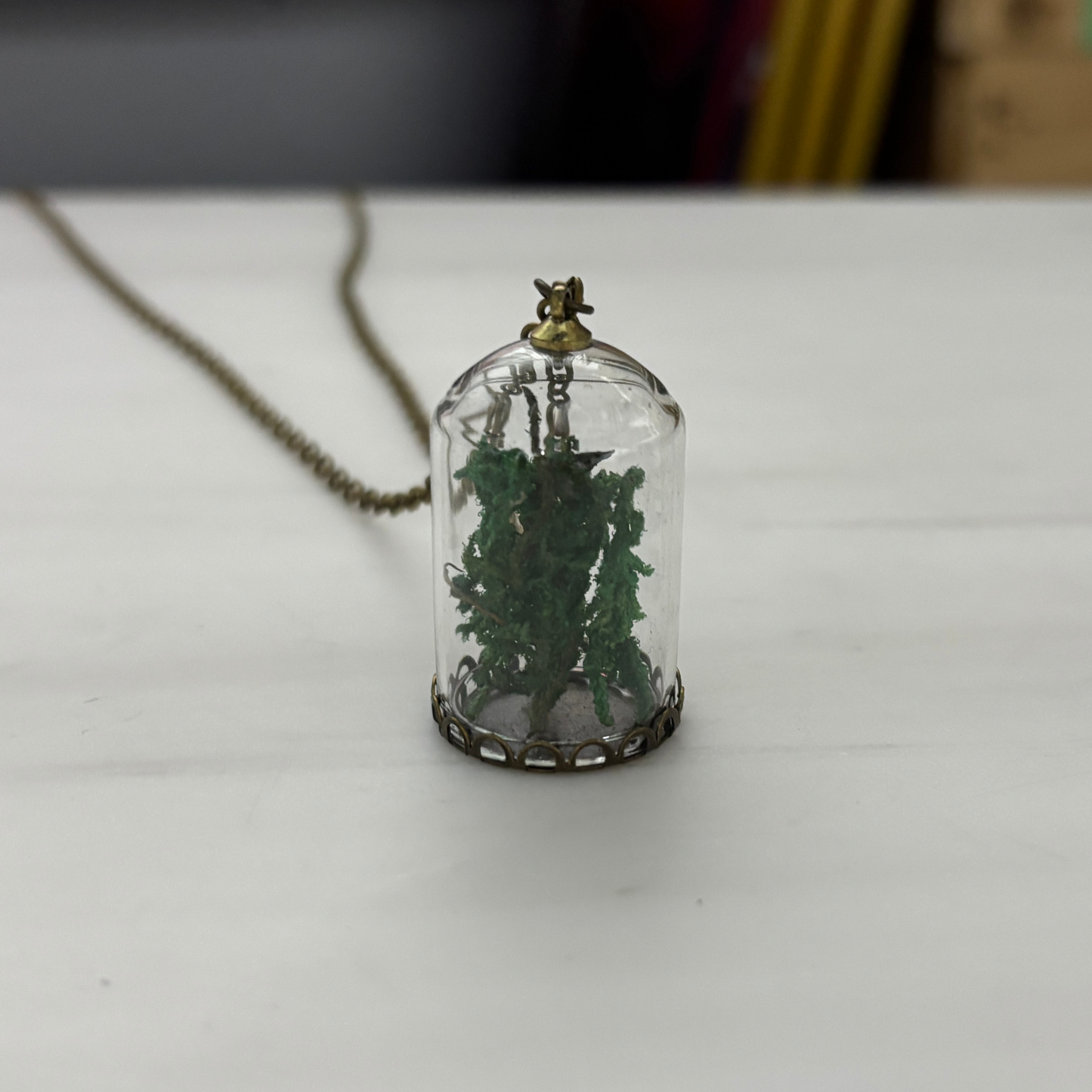 Moss Terrarium Necklace | Real Dried Moss in Glass Cloche Pendant | 24" Aged Brass Chain