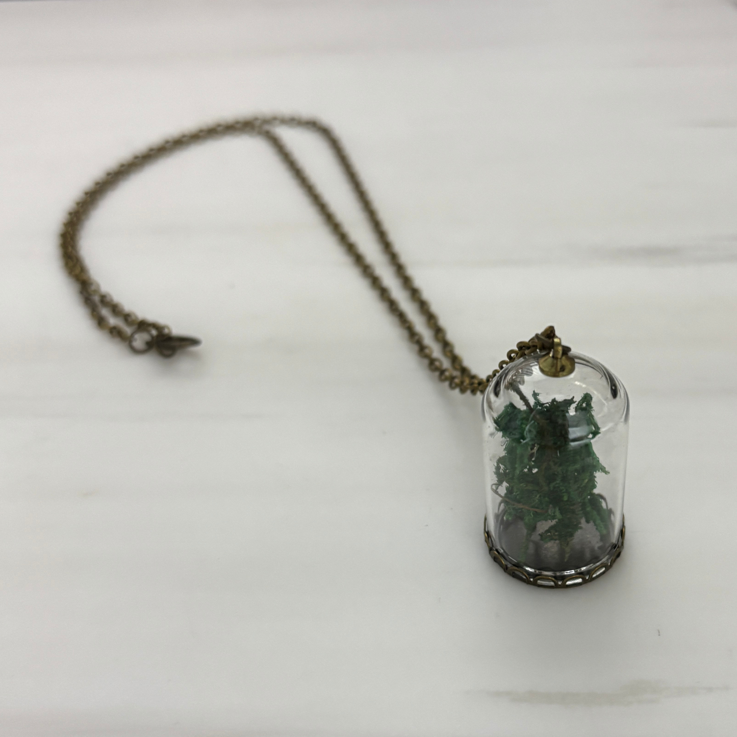 Moss Terrarium Necklace | Real Dried Moss in Glass Cloche Pendant | 24" Aged Brass Chain