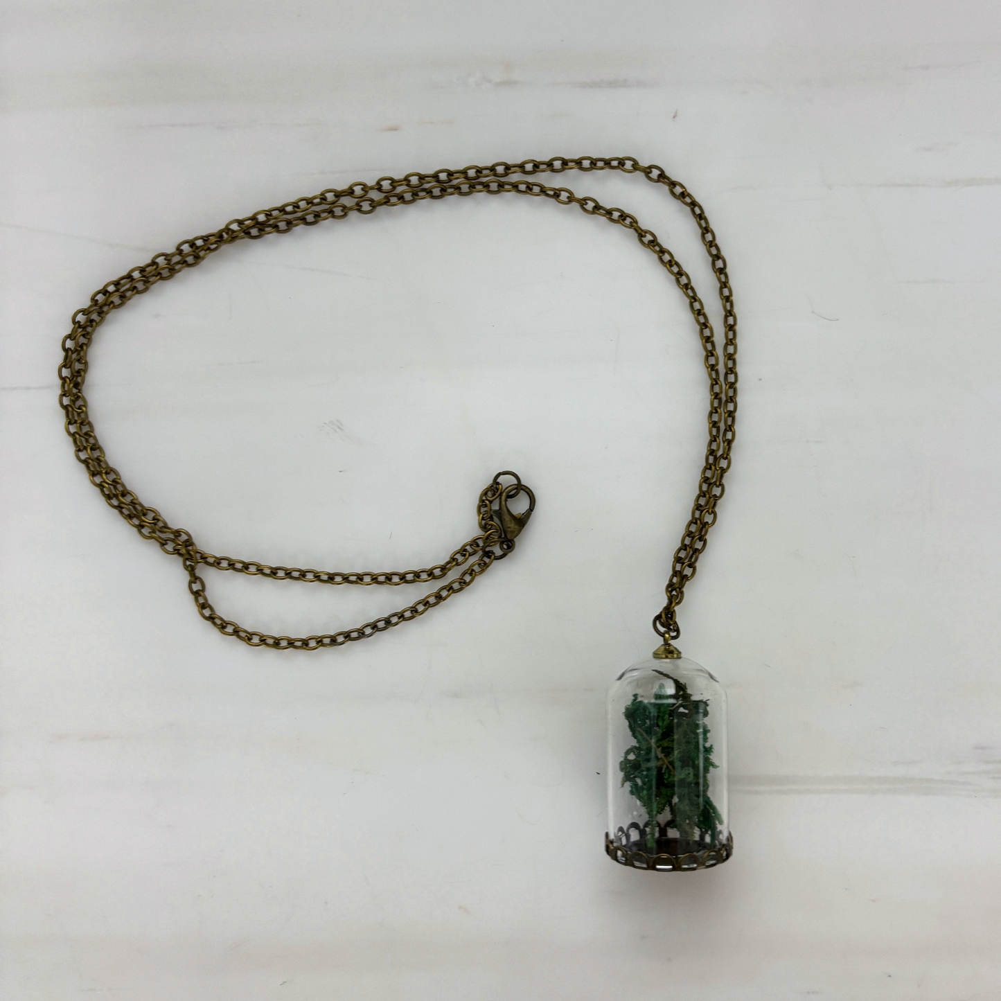 Moss Terrarium Necklace | Real Dried Moss in Glass Cloche Pendant | 24" Aged Brass Chain