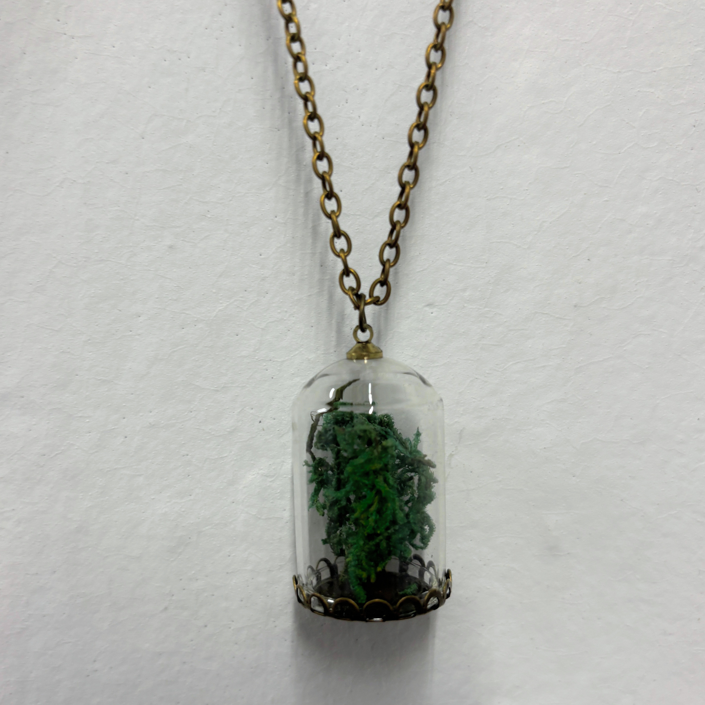 Moss Terrarium Necklace | Real Dried Moss in Glass Cloche Pendant | 24" Aged Brass Chain