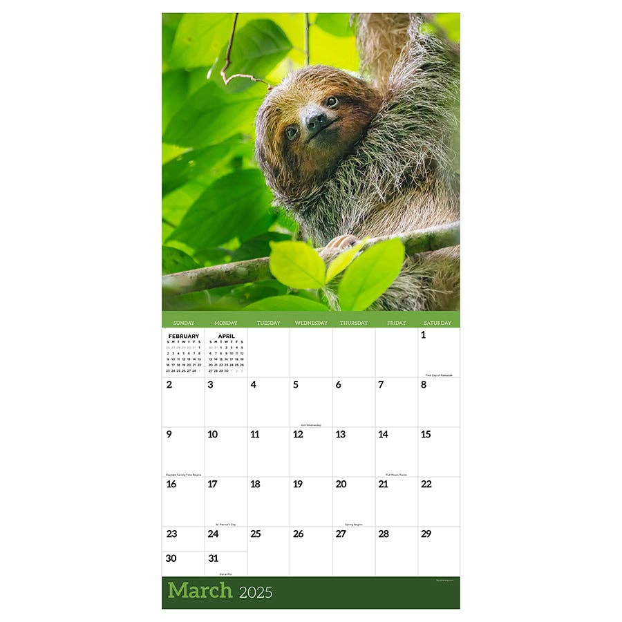 2025 Sloths Wall Calendar | Don't Hurry Be Happy Giftable Hanging 12 Month Calendar