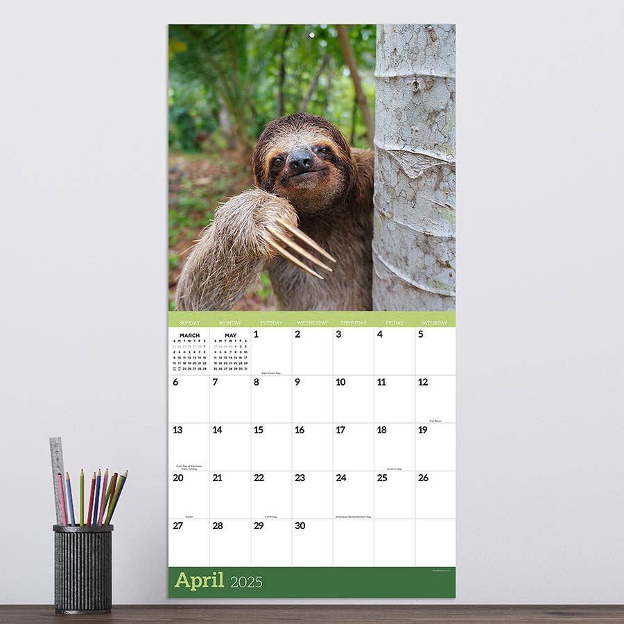 2025 Sloths Wall Calendar | Don't Hurry Be Happy Giftable Hanging 12 Month Calendar