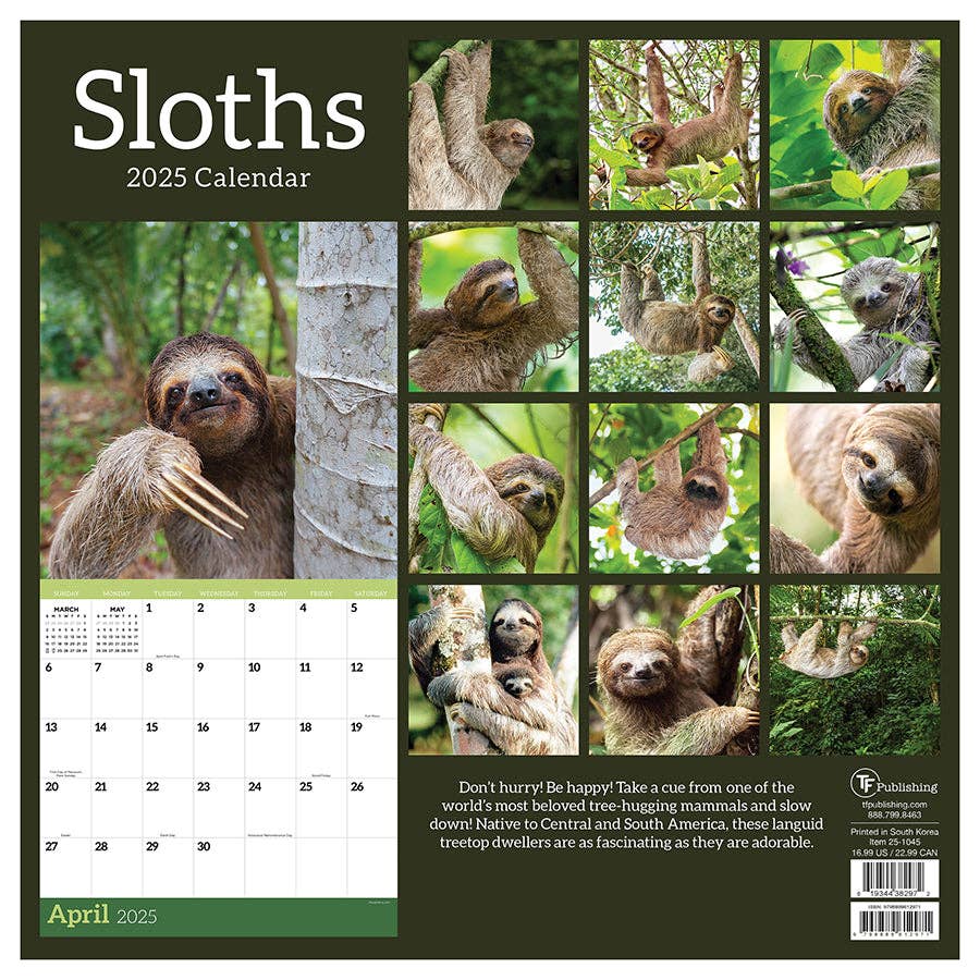 2025 Sloths Wall Calendar | Don't Hurry Be Happy Giftable Hanging 12 Month Calendar