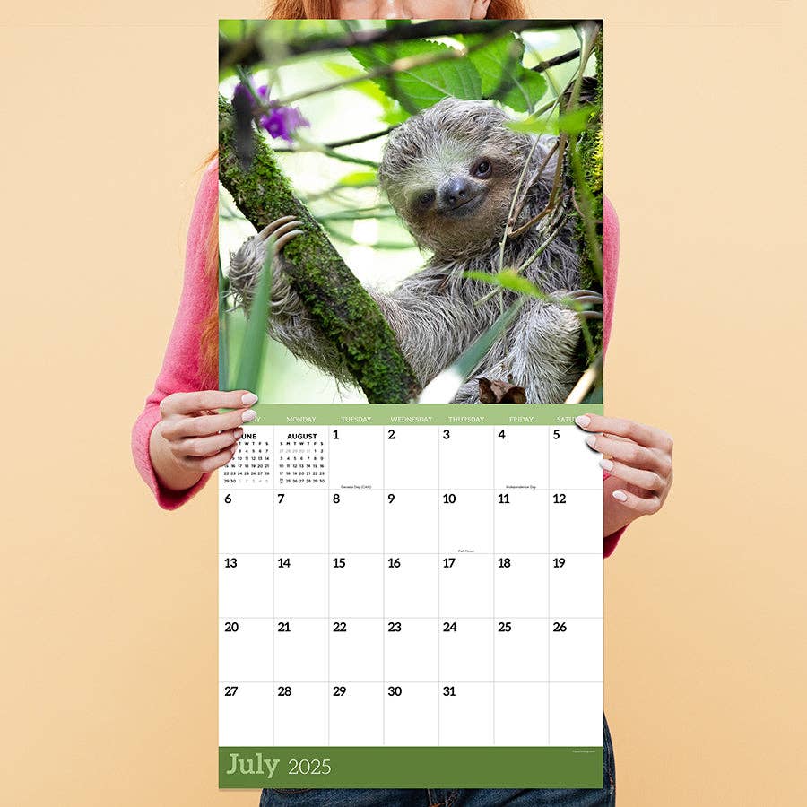 2025 Sloths Wall Calendar | Don't Hurry Be Happy Giftable Hanging 12 Month Calendar