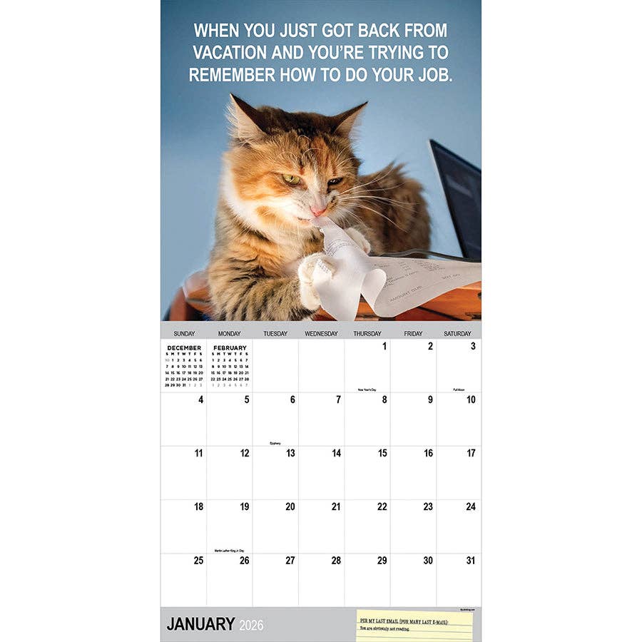 2026 Corporate Cats Wall Calendar | Cute Funny Cat Lovers Calendar Poster | 12" x 12"